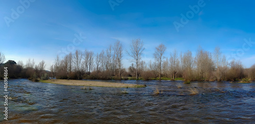 Wallpaper Mural rzeka woda wiosna drzewa krajobraz rośliny  Torontodigital.ca