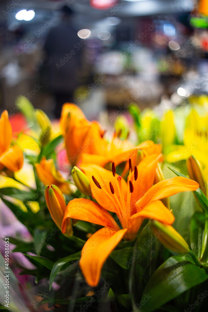 orange lily on the counter of the store orange lily on the counter of the store