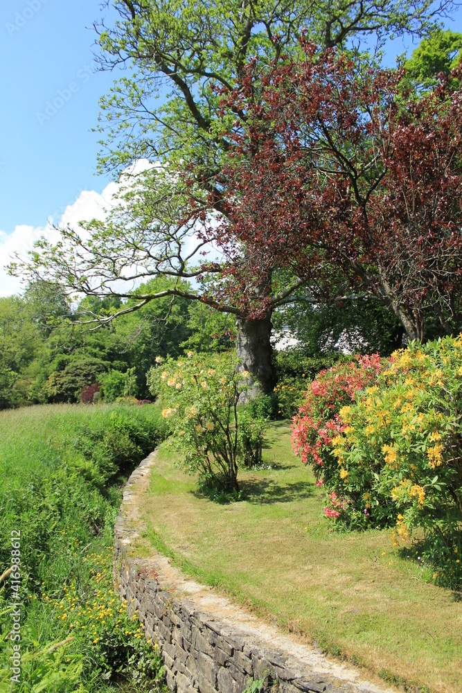 Garden in late May