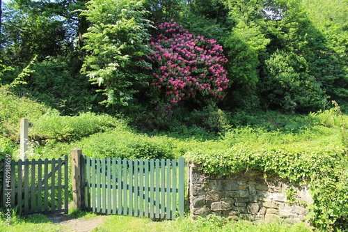 Fence with flowers