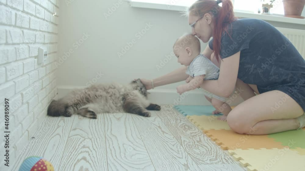 A little baby wanting to play with angry cat - his mother holding him away from the cat and petting her A little baby wanting to play with angry cat - his mother holding him away from the cat and petting her