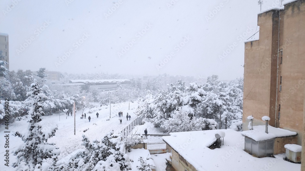 Obraz premium trees and buildings after a snowstorm 