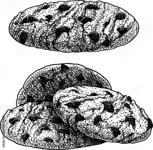 Chocolate chips cookie, biscuit illustration, drawing, engraving, ink, line art, vector