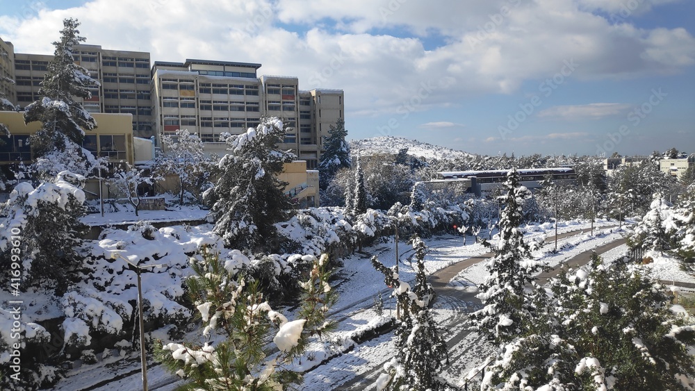 Fototapeta premium trees and buildings after a snowstorm 