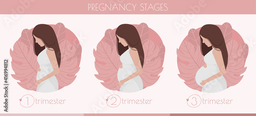 Stages of pregnancy - 3 trimester. Hand drawn flat vector illustration. Pregnancy, motherhood awaiting baby pregnant steps concept. Nature background with leaves.
