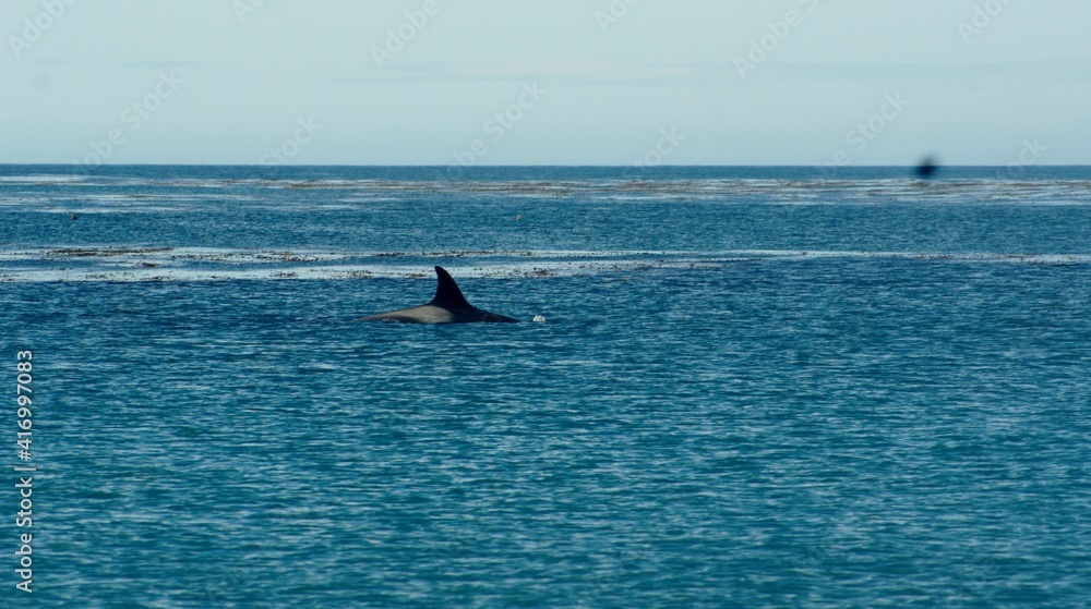 Obraz premium SONY DSC