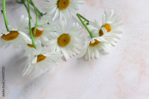 spring flowers. bouquet of white daisies © Palanga