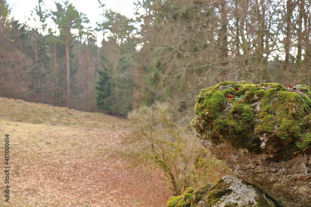 mossy rock on a meadow in woodland mossy rock on a meadow in woodland