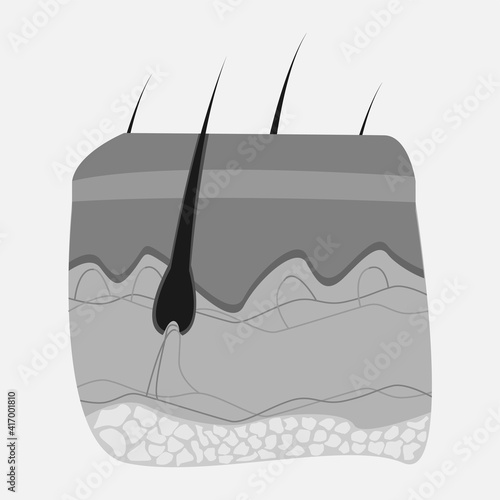 Icon of human internal organs. Icon made in growth style. The viscera of a man. Vector eps illustration.