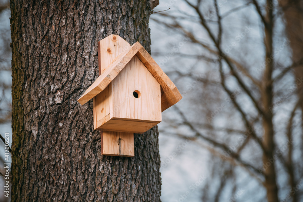 Nest box on a tree, New nestbox, Wooden birdhouse. Birdbox, bird box in the park, Spring is comming, Bird migration Nest box on a tree, New nestbox, Wooden birdhouse. Birdbox, bird box in the park, Spring is comming, Bird migration