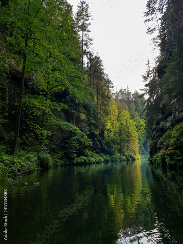 river in the forest -  Czech Republic