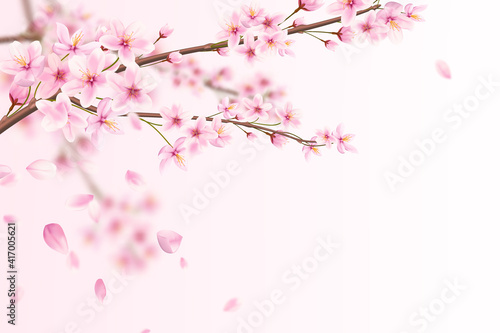 beautiful romantic illustration of pink sakura flowers with falling petals.