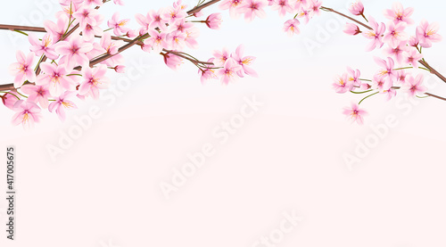 Banner with blooming cherry in spring. Japanese sakura