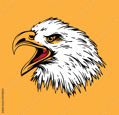 hand drawn eagle head illustration