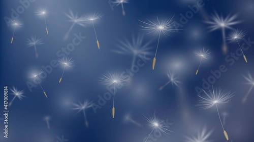 Flying blurry dandelion seeds, light fuzz