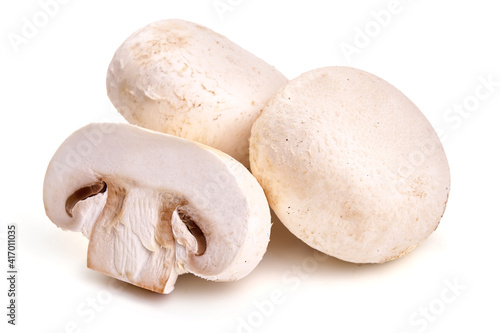 Champignons, close-up, isolated on white background. High resolution image