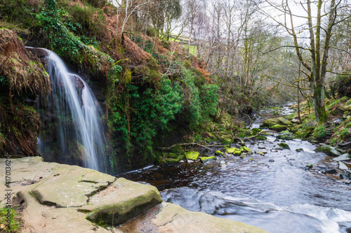 waterfall in the forest