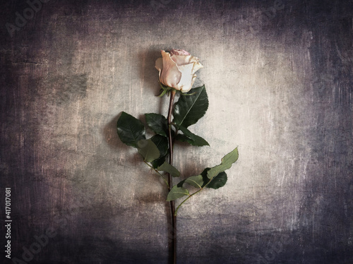 Obraz w ramie flower 