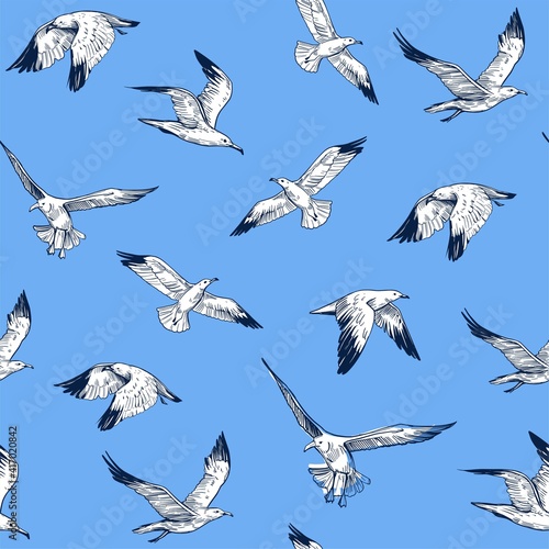Seamless pattern. seagulls outlines. Hand drawn illustration converted to vector.
