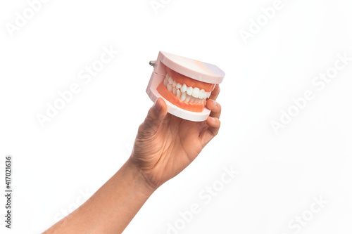 Hand of caucasian young man holding plastic denture teeth over isolated white background