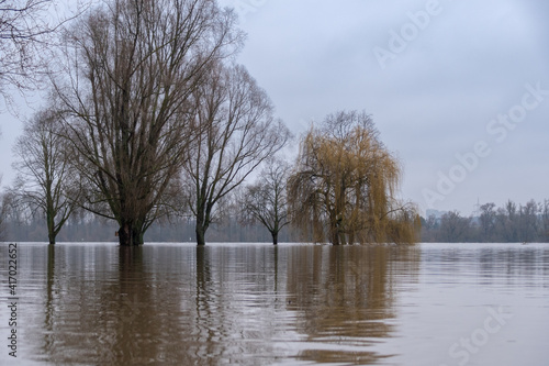 Wiesbaden Schierstein Hochwasser am Rhein © Jørgson Photography