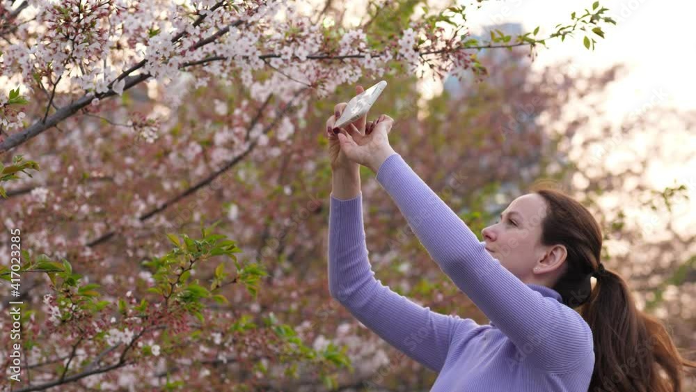 Tourist woman take picture of sakura flowers, petals fly in air. End of hanami time at Japan, green leaves seen on branches. Nice cherry blossom at Sotobori Park Tourist woman take picture of sakura flowers, petals fly in air. End of hanami time at Japan, green leaves seen on branches. Nice cherry blossom at Sotobori Park