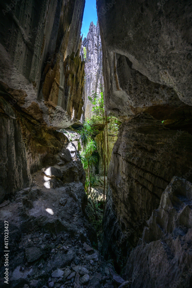 Tsingy de Bemaraha Strict Nature Reserve Tsingy de Bemaraha Strict Nature Reserve