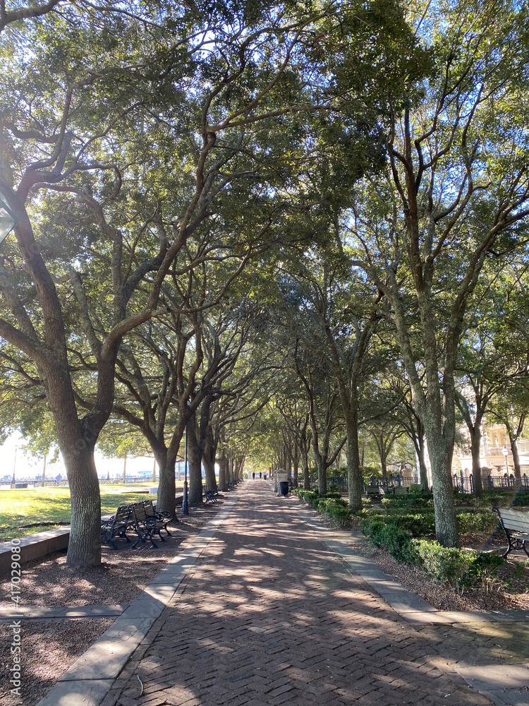 Waterfront Park in Charleston, South Carolina