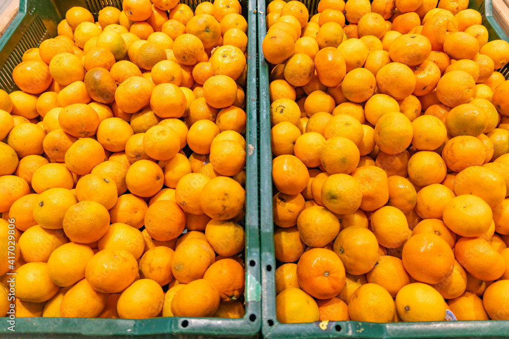 Assorted citrus on the market counter. Fresh oranges, tangerines and clementines as food background or texture