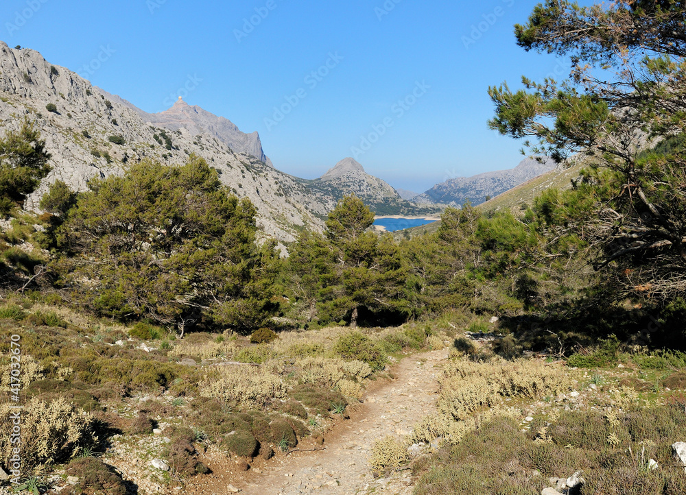 Hiking On The Trail To The Mount L'Ofre Looking Backward To The Lake Cuber In The Tramuntana Mountains On Balearic Island Mallorca On A Sunny Winter Day With A Clear Blue Sky