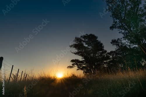 Sunset with trees in a rural environment