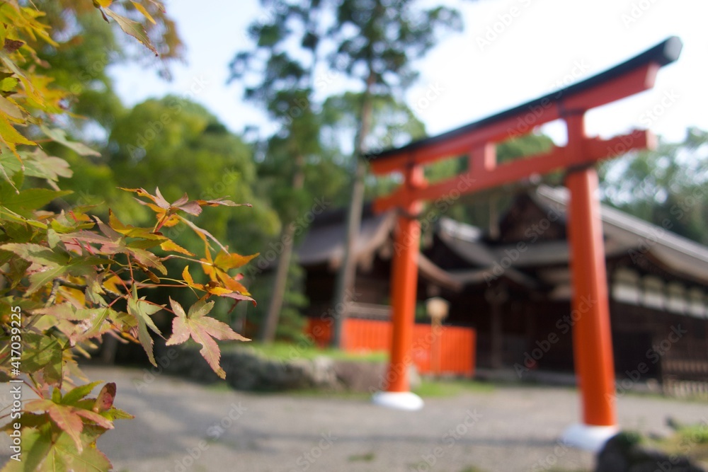 伝統的な日本の風景