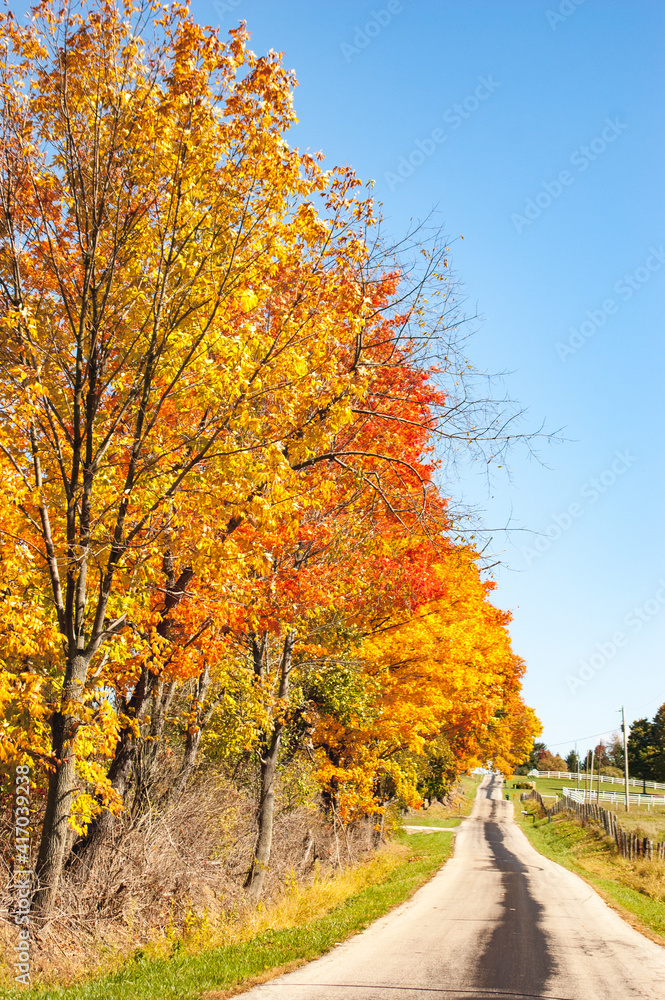 Naklejka premium Side trip