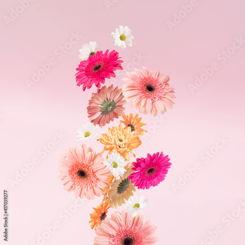 Bild auf Leinwand Creatively arranged various spring flowers that fall against pink background