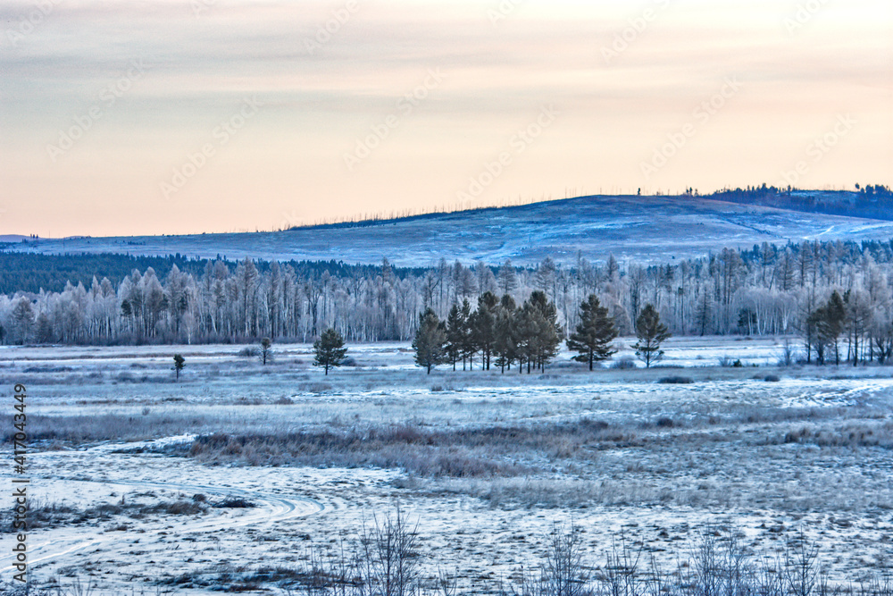 snowy winter landscape, field with hills and forest covered with snow / siberian taiga snowy winter landscape, field with hills and forest covered with snow / siberian taiga