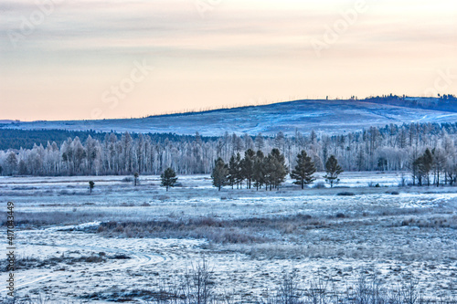 snowy winter landscape, field with hills and forest covered with snow / siberian taiga