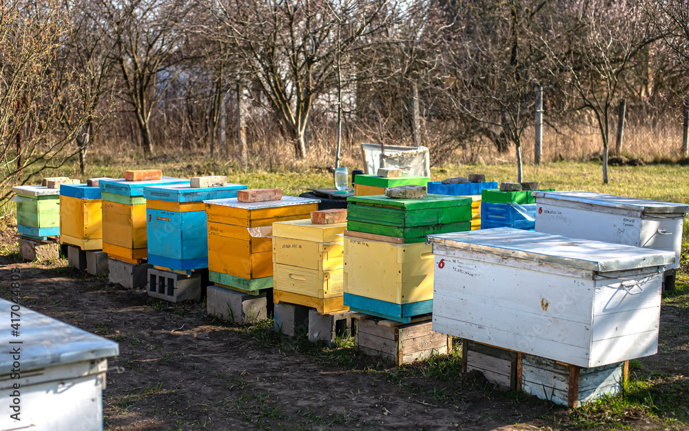 Sideboards near beehive's entrance., to help fallen bees get into hive. Preparing apiary for spring Sideboards near beehive's entrance., to help fallen bees get into hive. Preparing apiary for spring