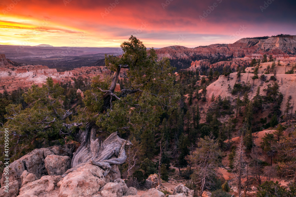 dramatic sunrise in Bryce Canyon National Park in Utah