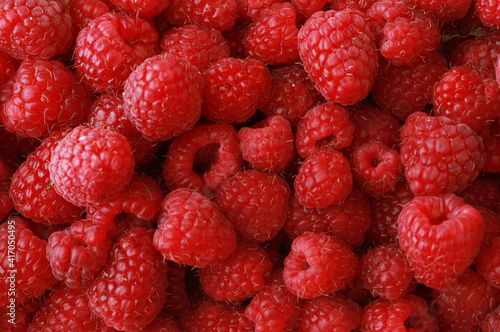 Sweet red raspberries as a background