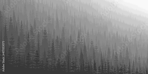 Hillside covered with dense forest in the morning light, black and white landscape