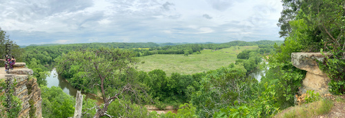 landscape with grass and trees