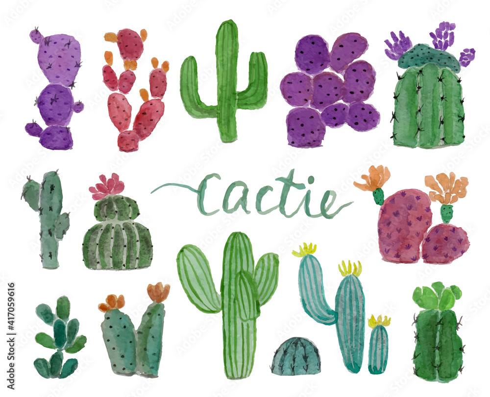Cactus Watercolor Collection Cactus Watercolor Collection