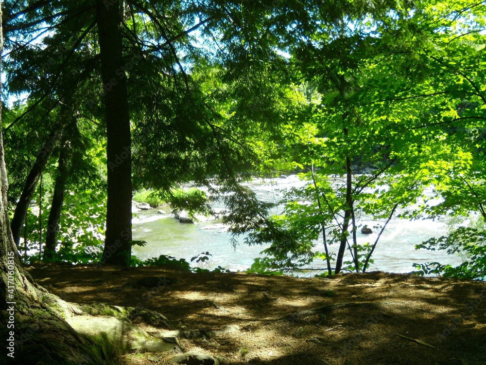 Obraz premium Wilson waterfalls in southern Quebec 