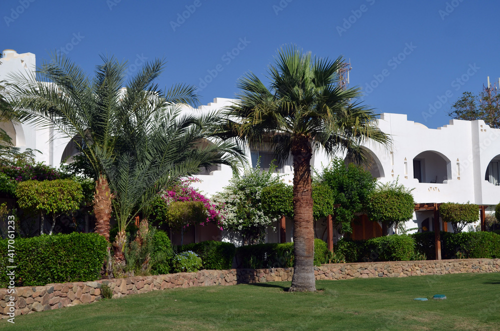 5 star complex in Sharm El Sheikh, Egypt 5 star complex in Sharm El Sheikh, Egypt