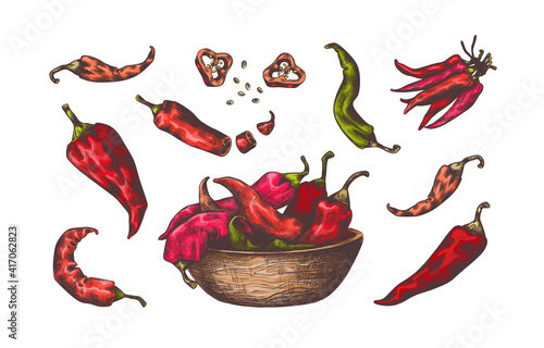 Chili pepper. Hand drawn colored sketch of spicy kitchen hot seasoning. Red and green isolated vegetables cut into pieces. Vector natural pungent spice for cooking Mexican meal with burning taste