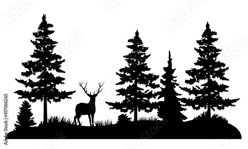 vector deer in a pine forest