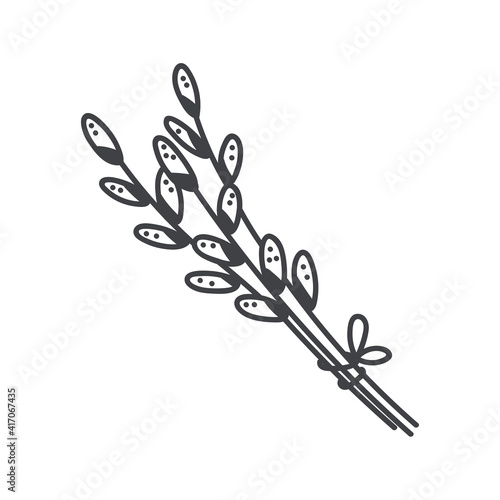 Pussy willow branch bunch in monochrome doodle style. Isolated vector illustration.