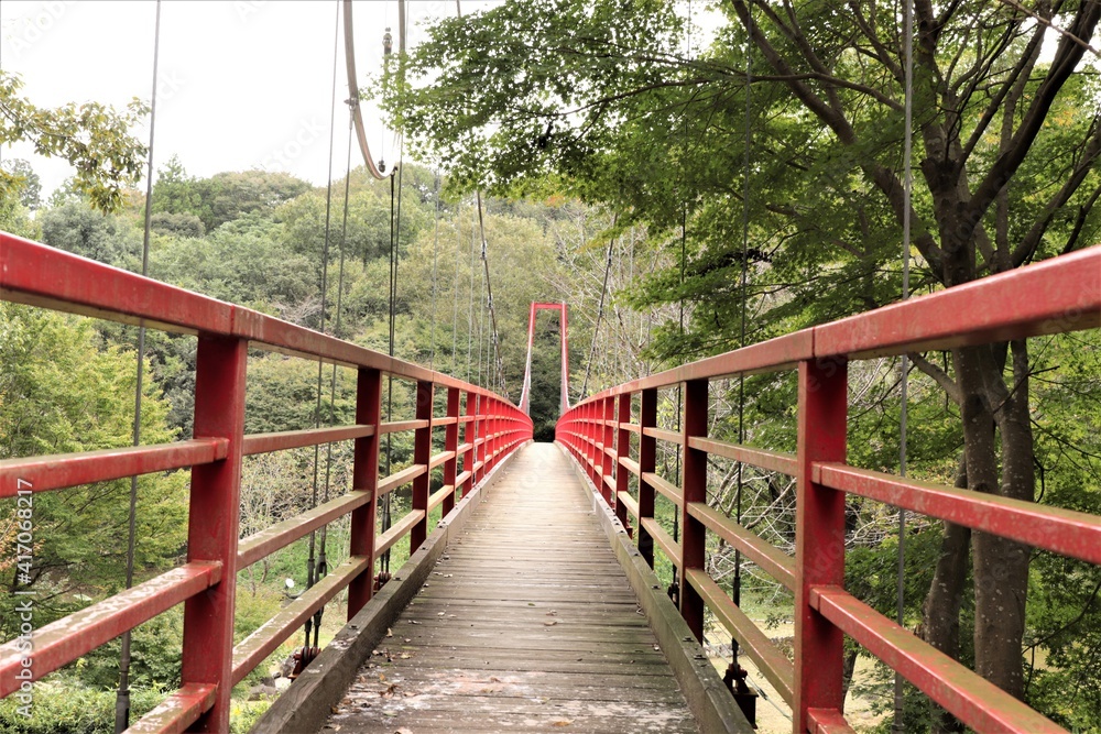  茨城県涸沼自然公園のイトトンボ橋