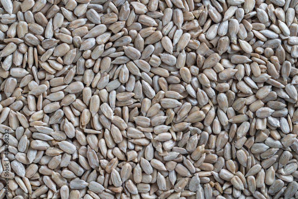 Peeled sunflower seeds pile background, close up Peeled sunflower seeds pile background, close up