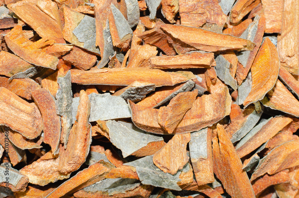 Medicinal alder bark - for the treatment of the digestive tract, colds. Medicinal alder bark - for the treatment of the digestive tract, colds.